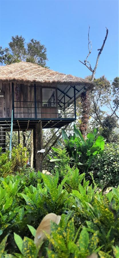Noah'S Nest Tree House Apartment Текади Екстериор снимка