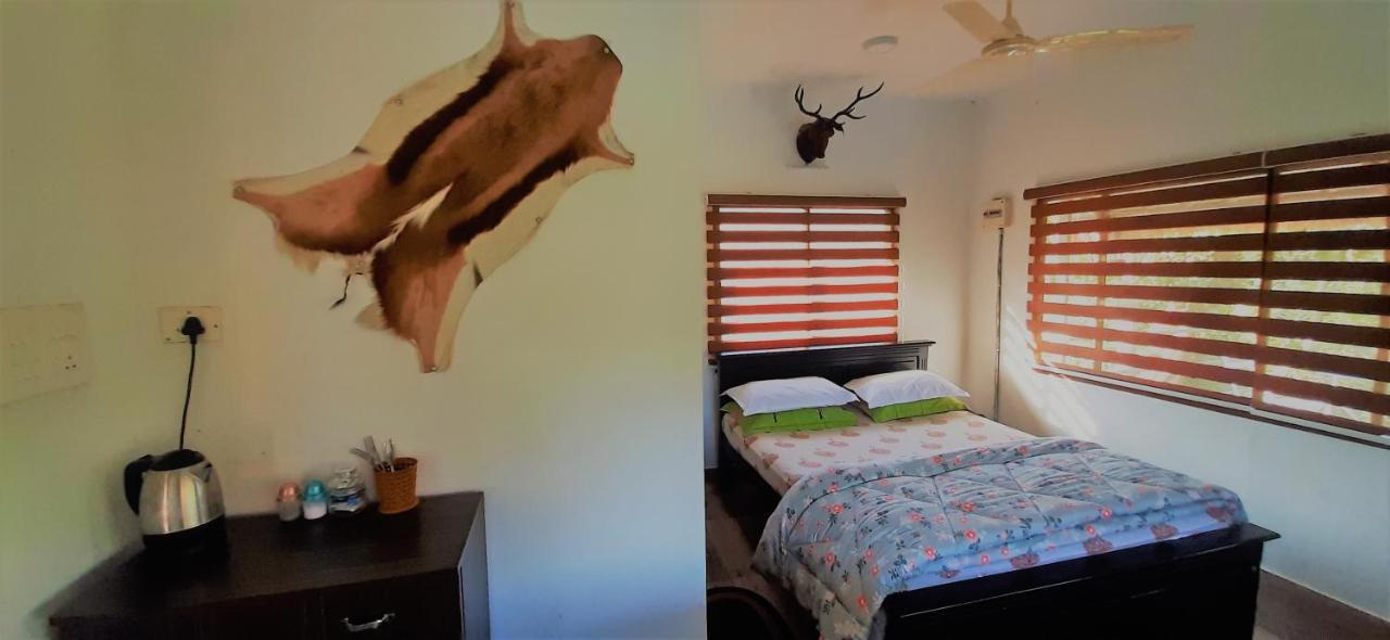 Noah'S Nest Tree House Apartment Текади Екстериор снимка