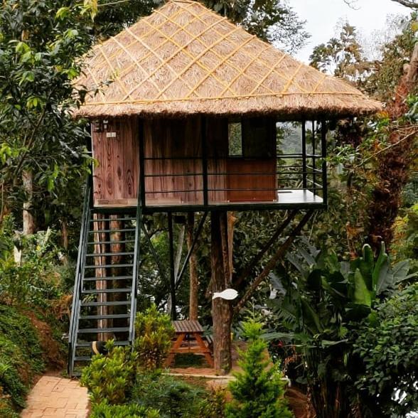 Noah'S Nest Tree House Apartment Текади Екстериор снимка