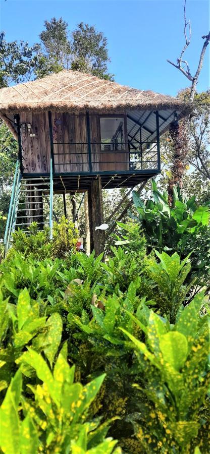 Noah'S Nest Tree House Apartment Текади Екстериор снимка