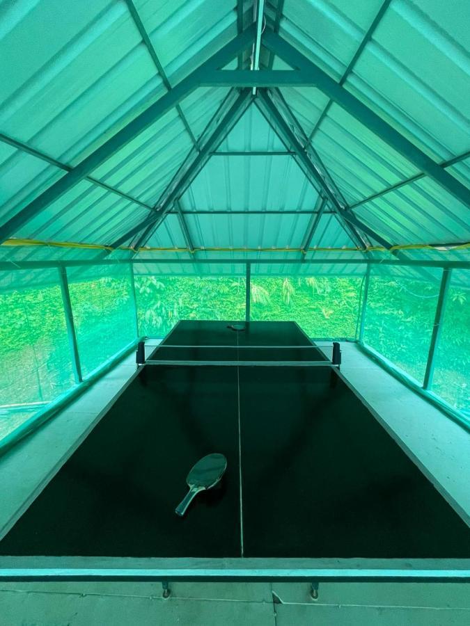 Noah'S Nest Tree House Apartment Текади Екстериор снимка
