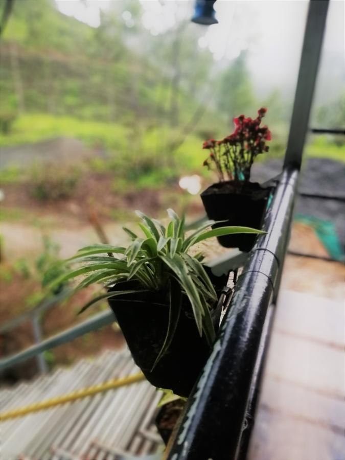 Noah'S Nest Tree House Apartment Текади Екстериор снимка