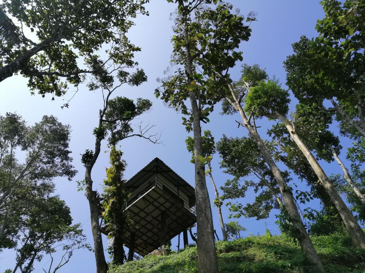 Noah'S Nest Tree House Apartment Текади Екстериор снимка