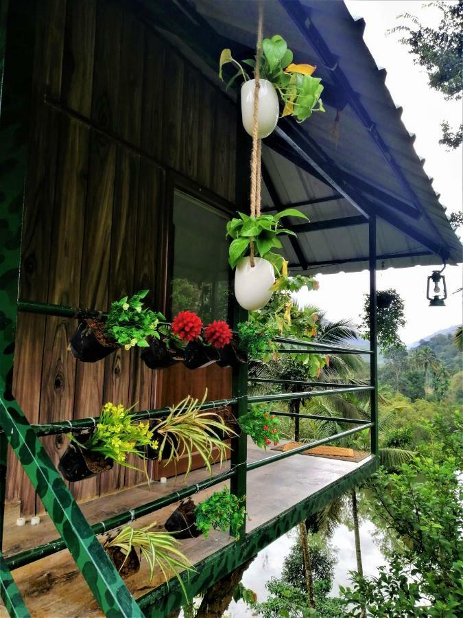 Noah'S Nest Tree House Apartment Текади Екстериор снимка